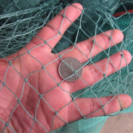 Red de pesca de PE verde trenzada duradera