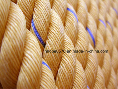 Twist de alta calidad 3/4 Strand Polypropylene Danline Cuerda marina para la pesca