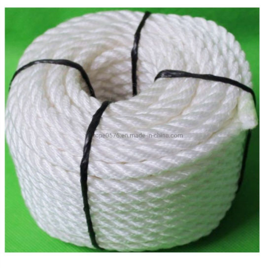 Cuerda Danline PP natural 500 m / rollo