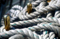 Cuerda múltiple para la cuerda de la cuerda / PA / PA / Cuerda de la nave