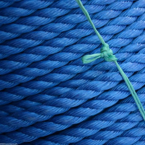 Blue 3 Strand PP Cuerda de la cuerda marina cuerda de la cuerda de la cuerda de la cuerda