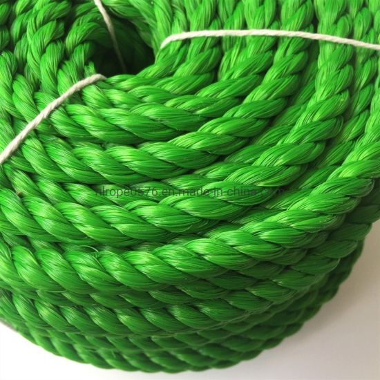 Polipropileno / Polietileno PP / PE Cuerda de pesca PP Danline Rope